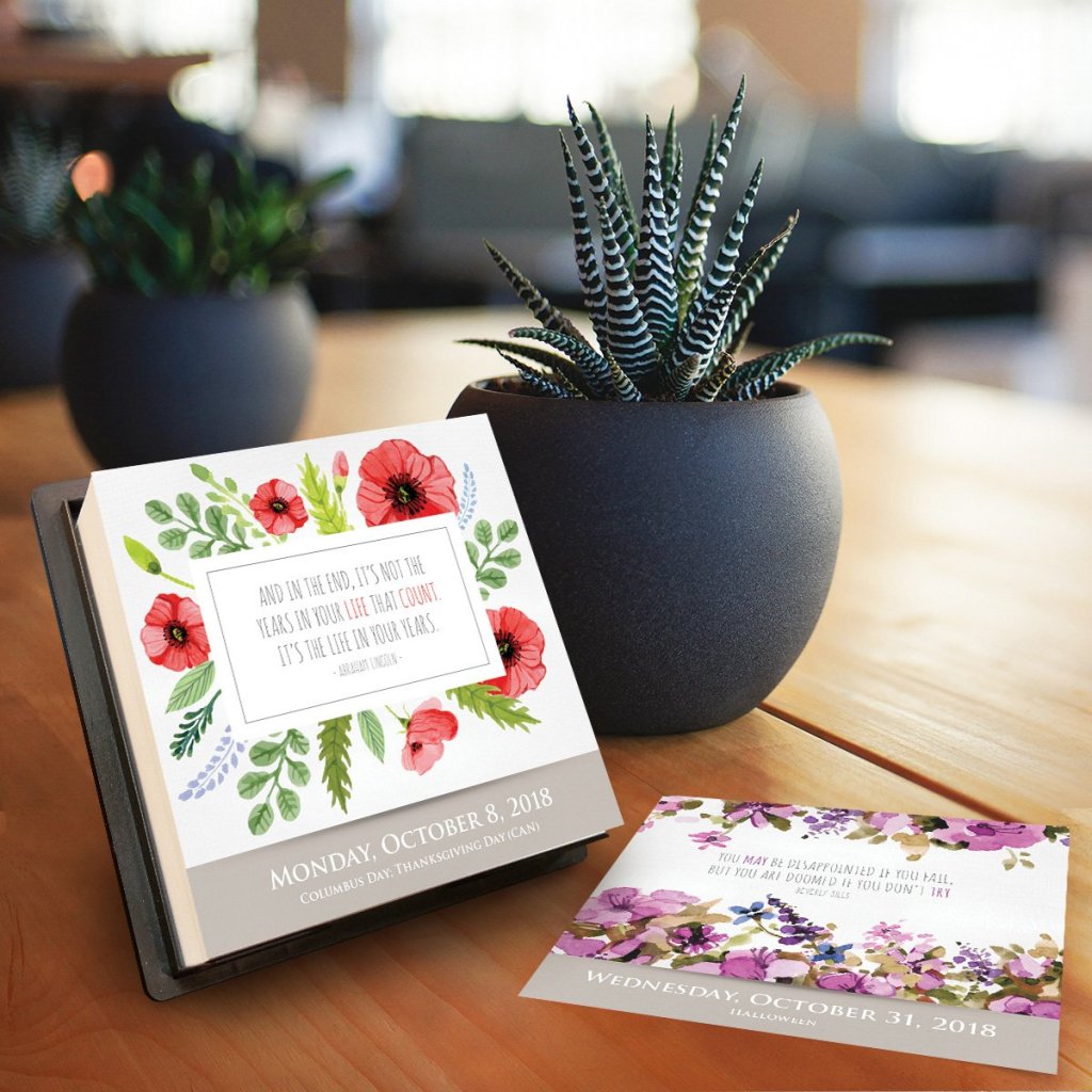 2019 Daily Calendars You’re Going to Want to Buy in&nbsp;Bulk